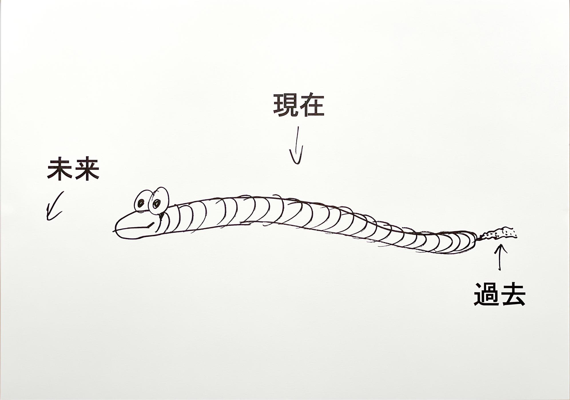 デニコライ＆プロヴォースト denicolai & Provoost Earthworm since 2001 (Japan, 2022)