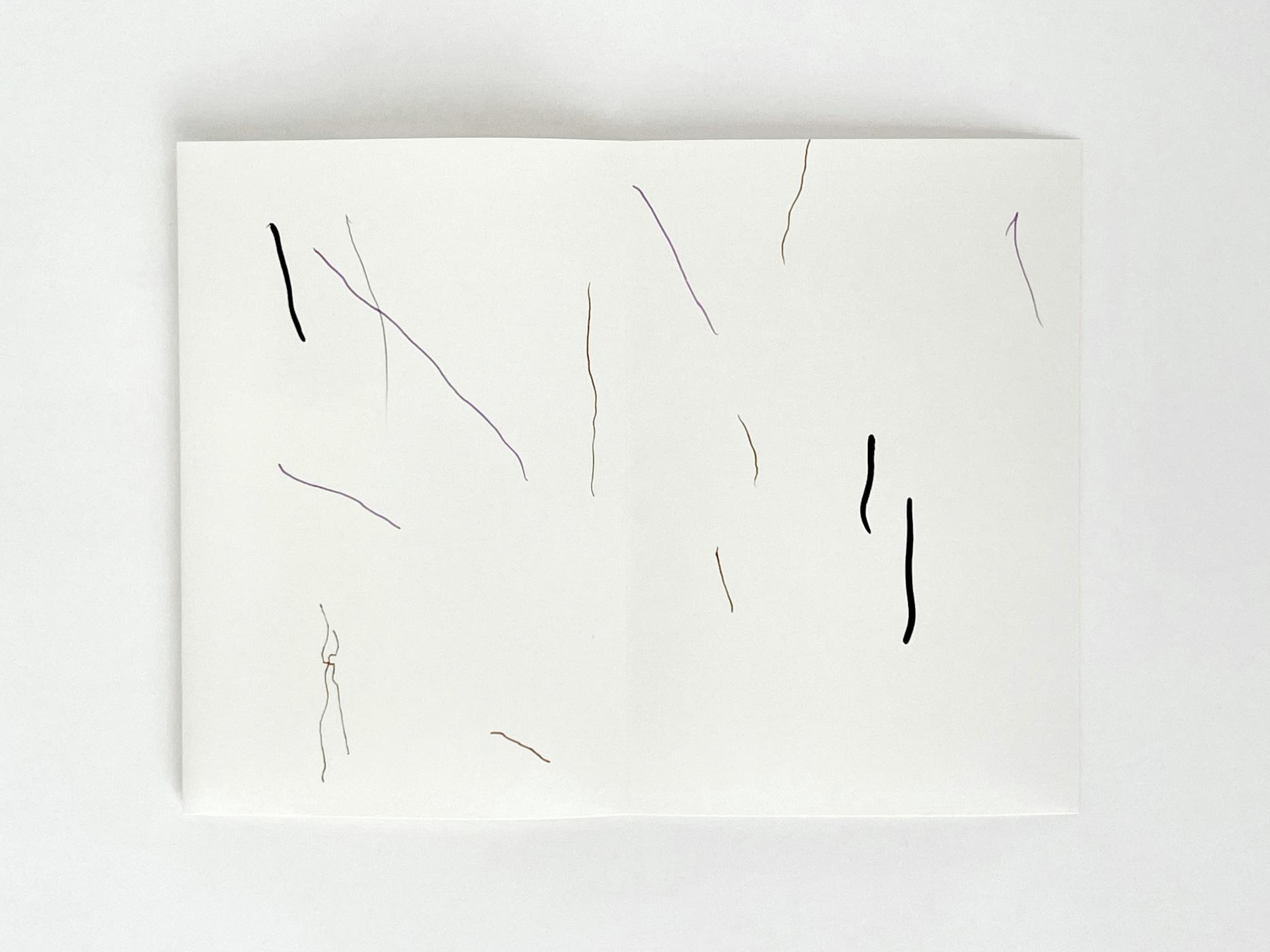 Ana Jotta アナ・ジョッタ Rest on Paper
