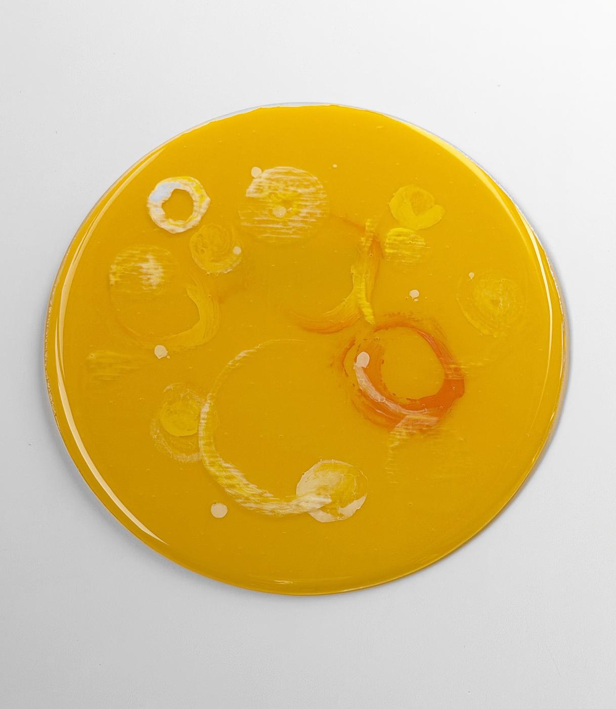 A Solar Year Oscar Tuazon